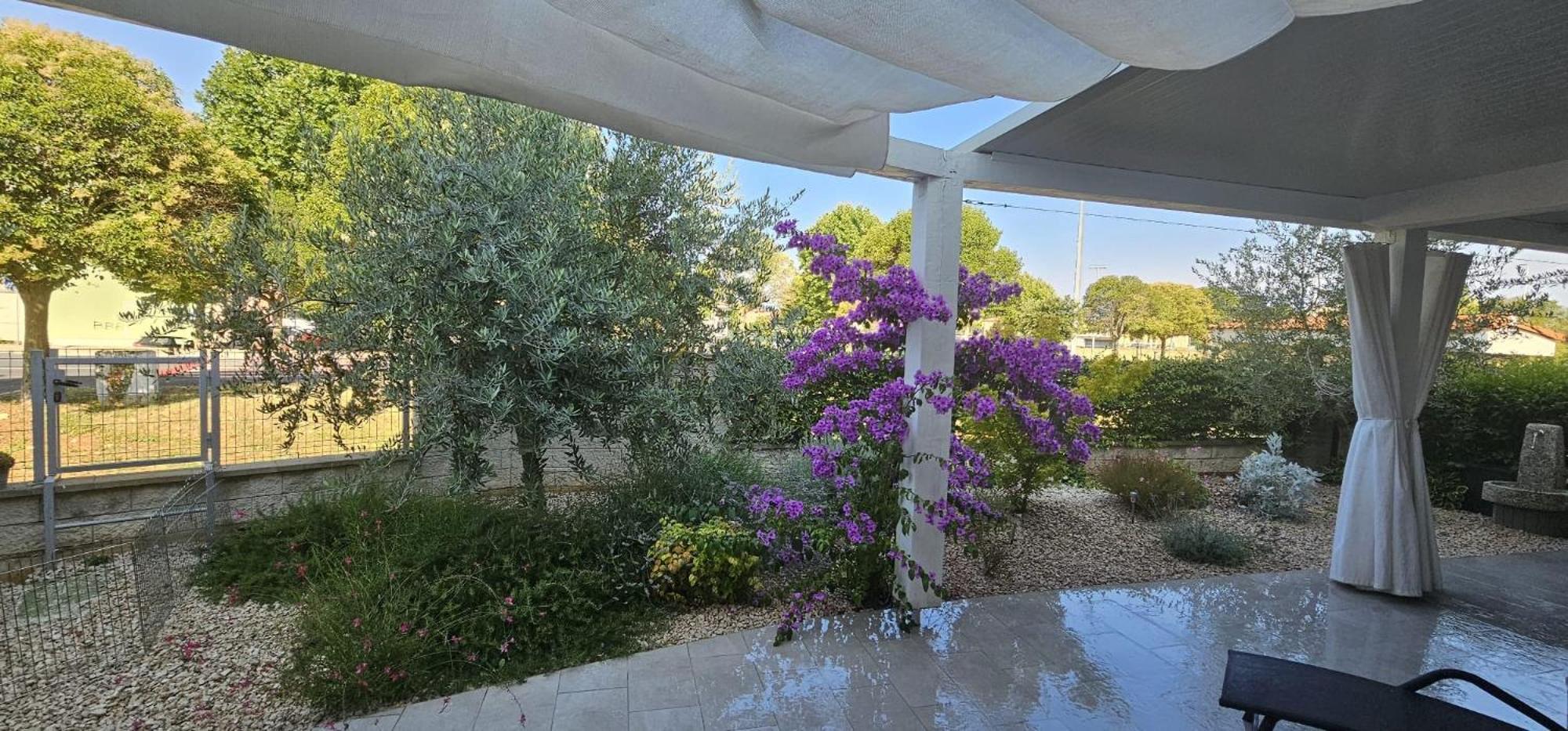 Apartman Magnolija Umag Luaran gambar